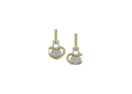 2 Tone Plated | Fashion Earrings